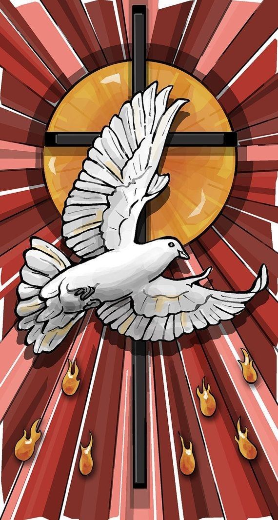Confirmacion 2026